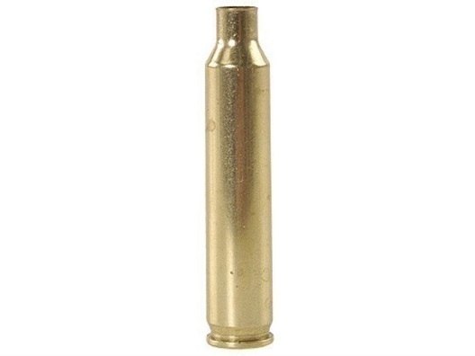 OAL Gauge Case - 204 Ruger