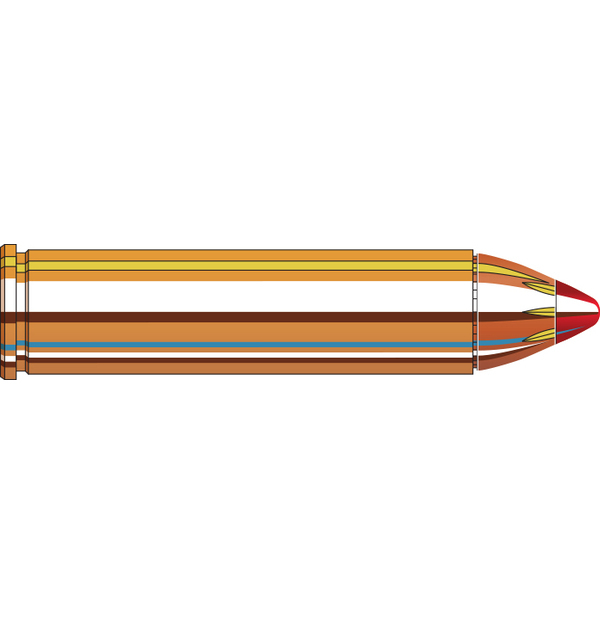 Ammo - 460S&W - Hornady 200gr FTX / 20pk