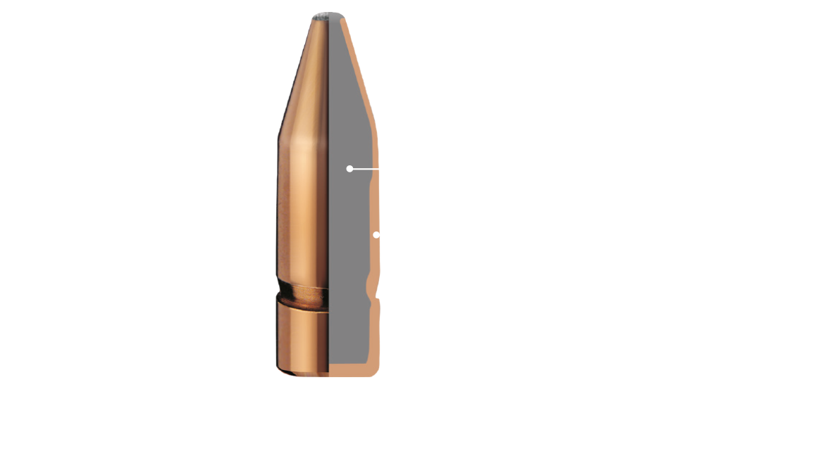 Proj - 22cal - RWS 74gr Coned SP / 50pk
