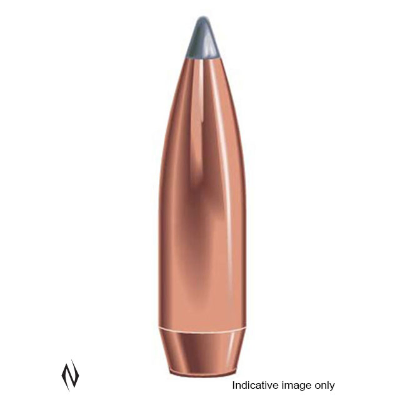 Proj - 30cal - Speer 180gr Boat Tail BTSP / 100pk